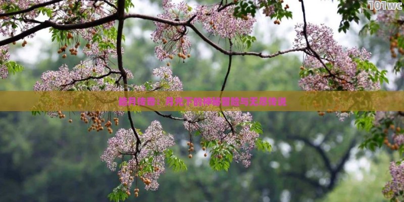 揭秘，如何找到最变态的<strong>传奇私服发布网</strong>？