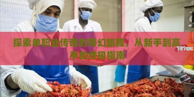 探索<strong>单职业传奇</strong>的奇幻旅程，从新手到高手的终极指南