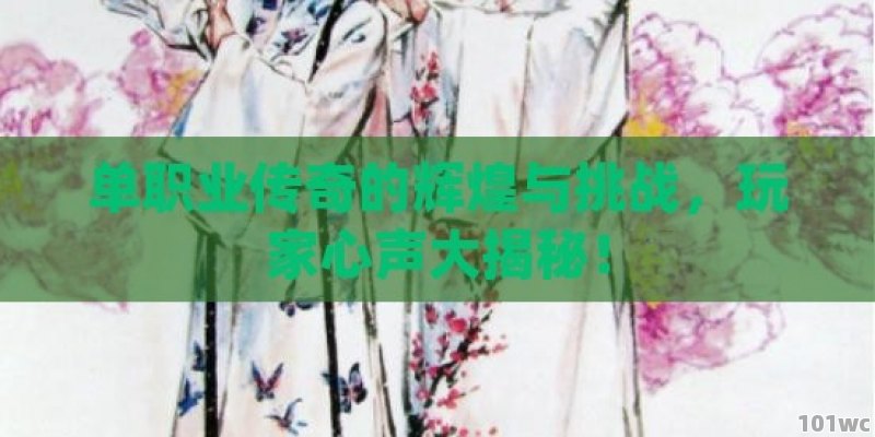 <strong>单职业传奇</strong>的辉煌与挑战，玩家心声大揭秘！