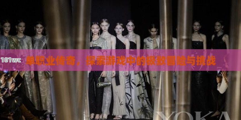 <strong>单职业传奇</strong>，探索游戏中的极致冒险与挑战