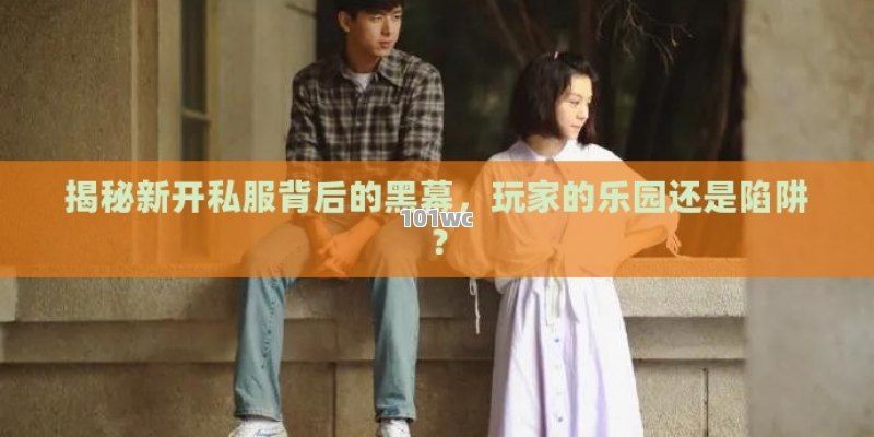 揭秘新开私服背后的黑幕，玩家的乐园还是陷阱？
