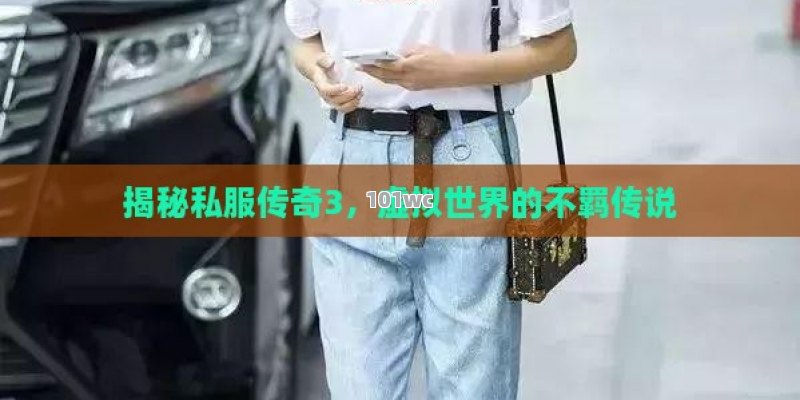 揭秘私服传奇3，虚拟世界的不羁传说