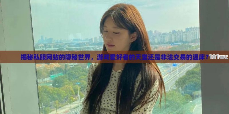 揭秘私服网站的隐秘世界，游戏爱好者的天堂还是非法交易的温床？
