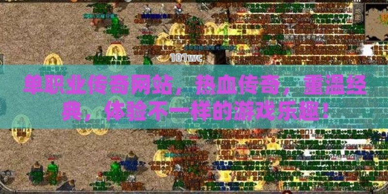 <strong>单职业传奇</strong>网站，热血传奇，重温经典，体验不一样的游戏乐趣！