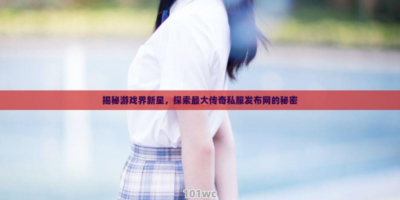 揭秘游戏界新星，探索最大<strong>传奇私服发布网</strong>的秘密