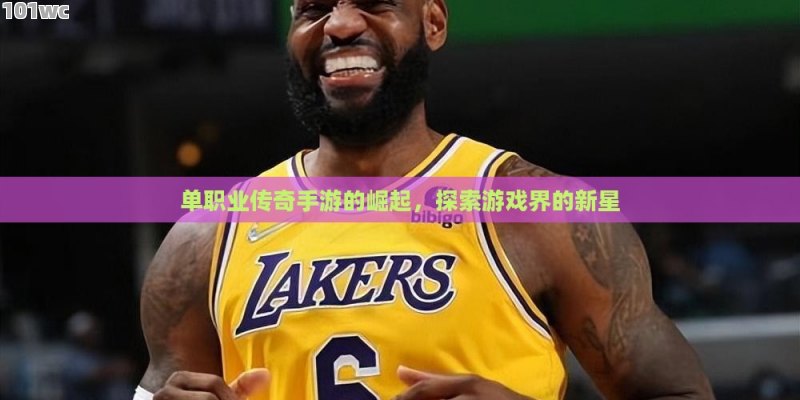 <strong>单职业传奇</strong>手游的崛起，探索游戏界的新星