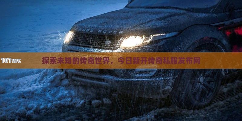 探索未知的传奇世界，今日新开<strong>传奇私服发布网</strong>