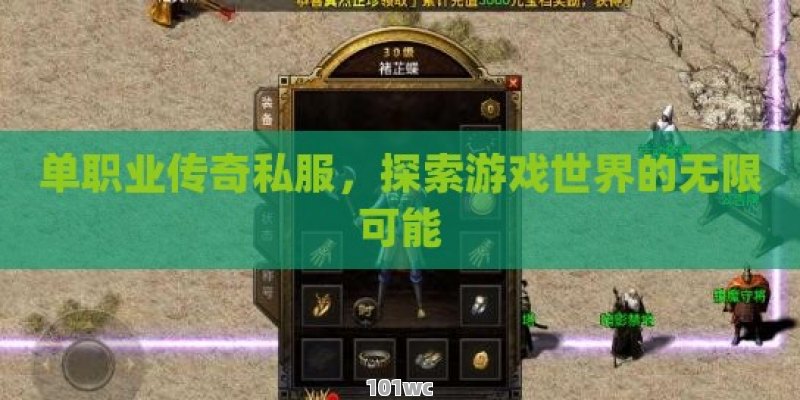 <strong>单职业传奇</strong>私服，探索游戏世界的无限可能