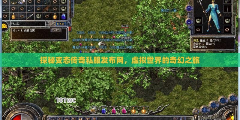 探秘变态<strong>传奇私服发布网</strong>，虚拟世界的奇幻之旅